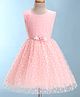 Bluebell Net Sleeveless Party Frock with  Floral Applique - Peach