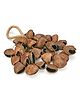 Sarveda Pangi Seed Shell Shaker