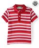 UCB Cotton Knit Half Sleeves Striped Polo T-Shirt - Red