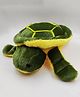 Puchu Toys Tortoise Stuffed Soft Plush Toy -Length 30 cm