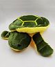 Puchu Toys Tortoise Stuffed Soft Plush Toy - Length 40 cm