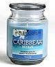 Hosley Caribbean Breeze Fragrance Jar Candle - 1120 g