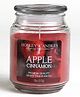 Hosley Apple Cinnamon Fragrance Jar Candle - 1120 g