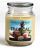 Hosley Tropical Mist Fragrance Jar Candle - 1120 g
