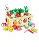 KolorFish Montessori Toys for Toddlers, Wooden Carrot Pulling Baby Toy Sensory Learning Educational Shape Sorter Games for Fine Motor Skill, Birthday Gifts