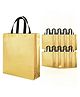 Evafly Gift Bags Large Pack Of 10 Reusable Non-Woven Shiny Metallic Laminated| Tote Bag, Shopping Bag with Handle Carry Bag for Wedding Return Gifts. Golden