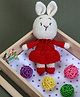 Crochet Bunny Girl Soft Toys - Red