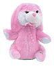 Musical Dancing and Singing Plush Rabbit Soft Toy Pink - Height 28 cm
