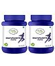 Nature Sure Dhatupaushtik Ayurvedic Churna for Vigor, Vitality and Stamina in Men and Women - 2 Packs (100g Each)