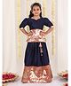 JBN Creation Half Sleeves Peacock & Floral Foil Embellished Coordinating South Indian Style Pavda Pattu Lehenga Set - Navy Blue & Red