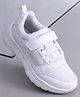 Pine Kids School Shoes with Velcro Closure -  White