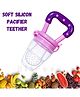 BitFeex Silicone Food Fruit Nibbler with Extra Mesh Soft Pacifier Feeder Teether for Infant Baby Elegant Purple BPA Free
