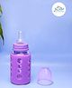 The Little Lookers High Borosilicate Glass Feeding Bottle for Baby/Feeder for Newborn | Super Soft Flow Control & Anti Colic Nipple for Infants/Toddlers - Purple (120ml)