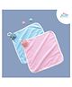 THE LITTLE LOOKERS Pack Of 2 Animal & Fruit Applique Towels - Pink & Sky Blue