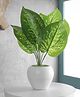 Foliyaj Artificial Money Plant with 9 Large Leaves in Apple Shaped Pot