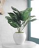 Foliyaj Artificial Monstera Plant with 9 Large Leaves in Apple Shaped Pot