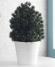 Foliyaj Artificial Dark Green Pine Leaves Plant with a White Round Pot