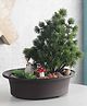 Foliyaj Artificial 3 Branch Bonsai Pine Tree in Brown Oval Pot with Bird