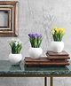 Foliyaj Artificial Mini Plant with Thin Long Leaves, Yellow, White and Dark Purple Lily Flowers - Combo of 3