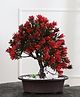Foliyaj Artificial 3 Branched Bonsai Tree with Red Leaves in a Brown Oval Pot