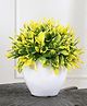 Foliyaj Artificial Plant with Yellow Oar Shaped Leaves with White Apple Pot