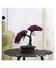 Foliyaj Artificial Shoe Horn Shaped Bonsai Tree with Magenta Leaves with Pot
