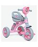 Fun Ride Tricycle Kids Musical Plug and Play Trike Sipper, Seat Belt, EVA Tyre for Indoor and Outdoor - Pink