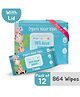 Momamia 99% Pure Water Wipes for Sensitive to normal Skin  (Pack of 12)
