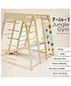 Curious Cub 7 in 1 Jungle Gym-Multi Colour