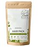 Ecotyl Ayurvedic Hair Pack | For Hair Conditioning & Strengthening | Blend of 10+ Herbs | 100g