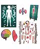 BitFeex Big Floor Body Part Puzzle Kids Human Body Wooden Floor Puzzle - 60+ Pieces