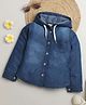 Tiny Girl Full Sleeves Solid Hooded Shirt Style Top - Blue