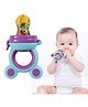BabyGo Organic Baby's BPA-Free Silicone Nipple Food Nibbler for Fruits with Storage Box -Multicolor