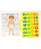 A&A Kreative Box My Body Puzzle Set with Number Game ( Wodden Puzzle & Evafoam Number Game) -39 Pcs