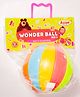 Asian Masha and the Bear Wonder Ball -1