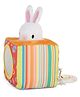 Nuluv Bunny Cube 3+ Months