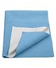 Trance Home Linen Supersoft Baby Dry Sheet & Bed Protector Sheet for Kids- Large, Sky Blue