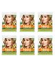 Nisha Creme Hair Color Honey Blonde Pack of 6, Permanent Hair Colour for Women , Long Lasting Hair Color