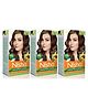 Nisha Creme Hair Color 3.0 Dark Brown - 120g Pack of 3 | Ammonia Free Permanent Hair Colour for Women