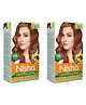 Nisha Creme Hair Color 4.3 Golden Brown - 120g Pack of 2 | Permanent Hair Colour | No Ammonia | 100% Grey Coverage