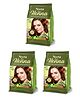 Neeta Pure Henna Powder for Hair with 9 Natural Herbs 125g Pack of 3, 100% Natural Henna Mehndi for Natural Looking Hair
