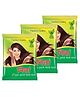 Neeta Mehendi Powder 100g Pack of 3, 100% Natural Henna Mehandi Powder for Hair, Hand & Feet