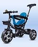 Little Olive Tiny Tots Tricycle for Kids - Black