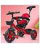 Little Olive Tiny Tots Tricycle for Kids - Red