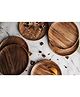 Think Artly Dune Acacia Plates Small and Large - Set of 12