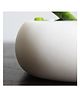 Byora Homes Marble Twin Pinch Bowl - 1.065 kgs
