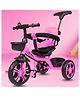 Little Olive Tiny Tots Tricycle for Kids - Pink