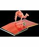 Animals Pop-up Book - English