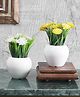 Foliyaj Artificial Combo of 2 Mini Plants with Thin Long Leaves, White and Yellow Gerbera Flowers