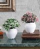Foliyaj Artificial Combo of 2 Mini Bush with White and Pink Leaves